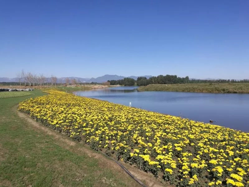 房山琉璃河湿地公园图片